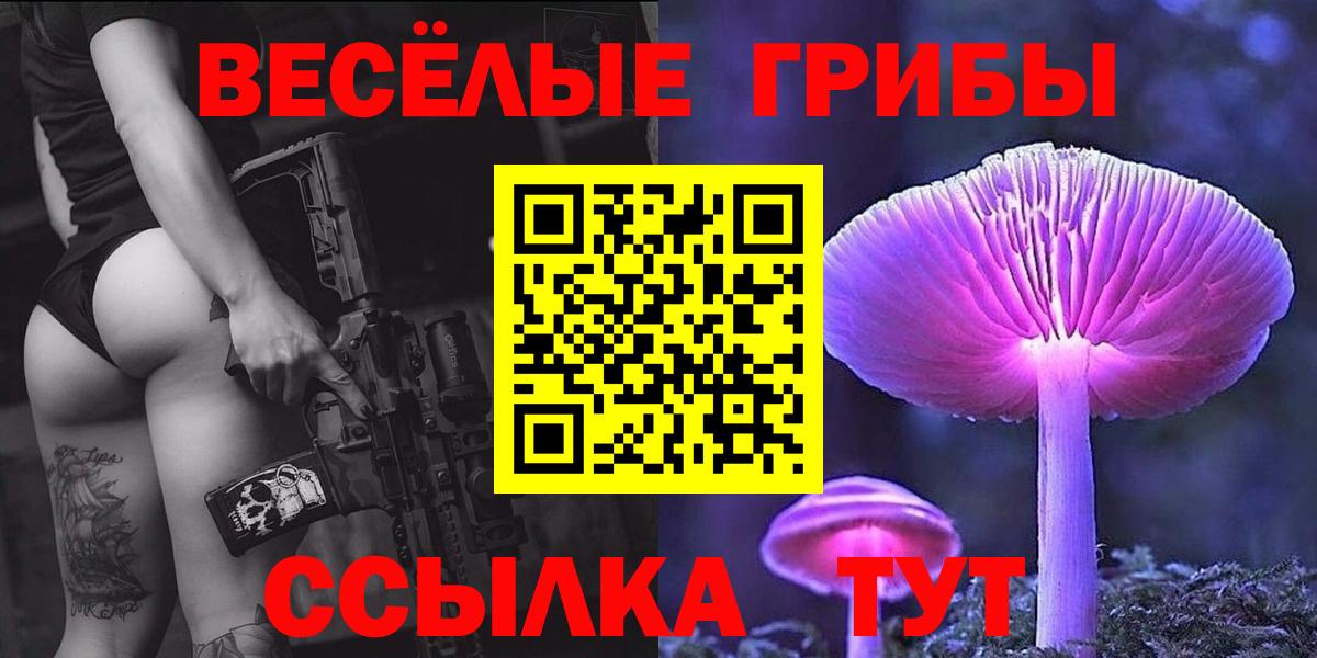 Галлюциногенные грибы Cubensis  Вход с VPN  Алексеевка 